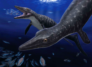 Zzzzz 1716256452phosphorosaurus — criaturas de la prehistoria option 463