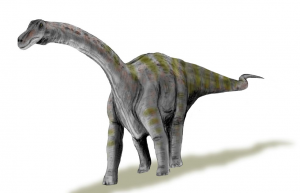 Zzzzz 1716256452rapetosaurus — criaturas de la prehistoria option 464