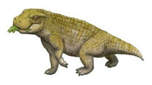 Zzzzz 1716256452simosuchus — criaturas de la prehistoria option 462