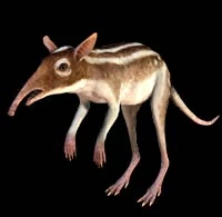 Zzzzz 1716256453leptictidium — criaturas de la prehistoria option 467