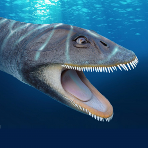 Zzzzz 1716256453morturneria — criaturas de la prehistoria option 471