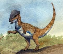 Zzzzz 1716256453prenocephale — criaturas de la prehistoria option 473