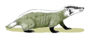 Zzzzz 1716256454chamitataxus — criaturas de la prehistoria option 472