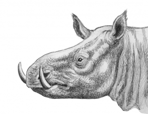 Zzzzz 1716256454chilotherium — criaturas de la prehistoria option 485