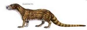 Zzzzz 1716256454cladsictis — criaturas de la prehistoria option 469