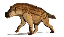 Zzzzz 1716256454dinocrocuta — criaturas de la prehistoria option 519