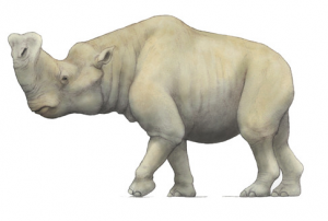 Zzzzz 1716256454embolotherium — criaturas de la prehistoria option 483