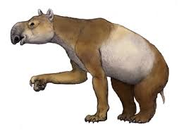 Zzzzz 1716256454homalodotherium — criaturas de la prehistoria option 492