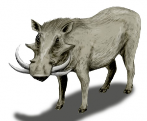 Zzzzz 1716256454metridiochoerus — criaturas de la prehistoria option 478