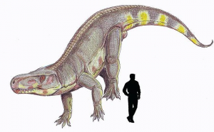 Zzzzz 1716516288fasolasuchus — criaturas de la prehistoria option 499