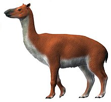 Zzzzz 1716516288theosodon — criaturas de la prehistoria option 524