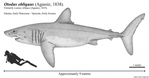 Zzzzz 1716516289otodusobliquus — criaturas de la prehistoria option 521