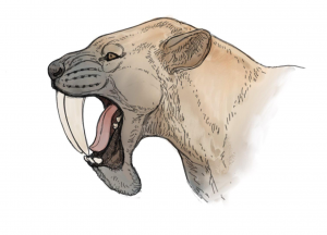 Zzzzz 1727556613hoplophoneus — criaturas de la prehistoria option 527