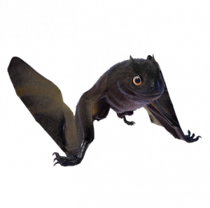 Zzzzz 1727556613jeholopterus — criaturas de la prehistoria option 684