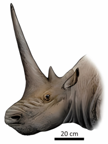 Zzzzz 1727556614sinotheriumlagrelii — criaturas de la prehistoria option 555