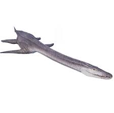 Zzzzz 1727556615attenborosaurus — criaturas de la prehistoria option 486