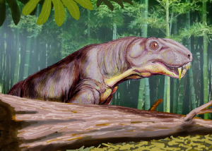 Zzzzz 1727970127rubidgeaquinquemolaris — criaturas de la prehistoria option 501
