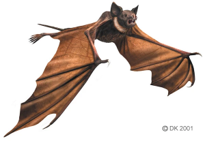 Zzzzz 1729743582icaronycteris — criaturas de la prehistoria option 506
