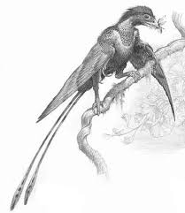 Zzzzz 1729743583confuciusornis — criaturas de la prehistoria option 512