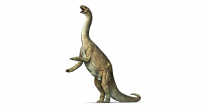 Zzzzz 1729743583isanosaurus — criaturas de la prehistoria option 515