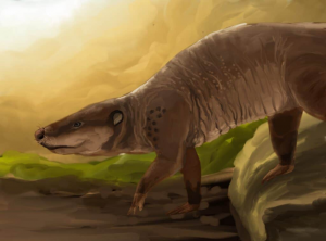 Zzzzz 1729743583repenomamus — criaturas de la prehistoria option 517