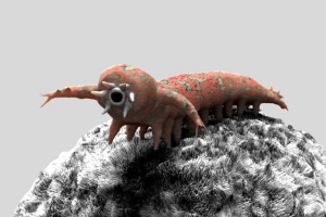 Zzzzz 1731529997aysheaia — criaturas de la prehistoria option 514