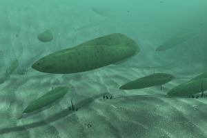 Zzzzz 1731529997haikouichthys — criaturas de la prehistoria option 510