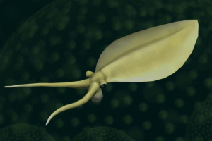 Zzzzz 1731529997nectocaris — criaturas de la prehistoria option 507