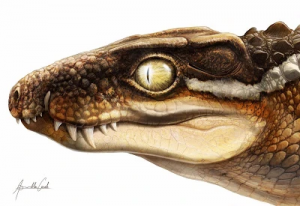 Zzzzz 1733557259ogresuchus — criaturas de la prehistoria option 537