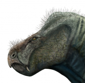 Zzzzz 1733557259wadiasaurus — criaturas de la prehistoria option 538