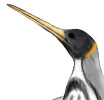Zzzzz 1733557382icadyptes — criaturas de la prehistoria option 531