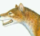 Zzzzz 1733557382mesonyx — criaturas de la prehistoria option 545