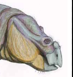Zzzzz 1733557382paraphysornis 4 — criaturas de la prehistoria option 533