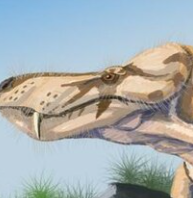 Zzzzz 1733557382paraphysornis 5 — criaturas de la prehistoria option 547