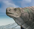 Zzzzz 1733557382paraphysornis 6 — criaturas de la prehistoria option 565
