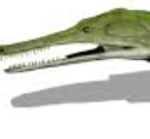 Zzzzz 1733557382paraphysornis 7 — criaturas de la prehistoria option 549