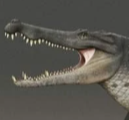 Zzzzz 1733557382paraphysornis 8 — criaturas de la prehistoria option 557