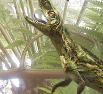 Zzzzz 1733877407euparkeria — criaturas de la prehistoria option 566