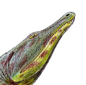 Zzzzz 1733877407konzhukovia — criaturas de la prehistoria option 570