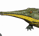 Zzzzz 1733877407platyoposaurus — criaturas de la prehistoria option 567