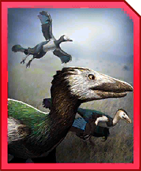 Zzzzz 1733878293graciliraptor — criaturas de la prehistoria option 143