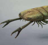 Zzzzz 1734992490acutiramus — criaturas de la prehistoria option 579