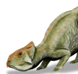 Zzzzz 1735447008leptoceratops — criaturas de la prehistoria option 587