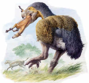 Zzzzz 1735789480brontornis — criaturas de la prehistoria option 608