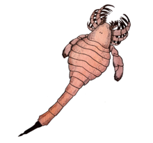 Zzzzz 1735789480eusarcana — criaturas de la prehistoria option 613