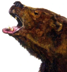 Zzzzz 1735790359arctotherium — criaturas de la prehistoria option 602