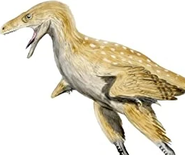 Zzzzz 1735790359bambiraptor — criaturas de la prehistoria option 616