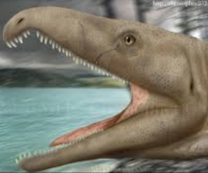 Zzzzz 1735790359chasmatosuchus — criaturas de la prehistoria option 647