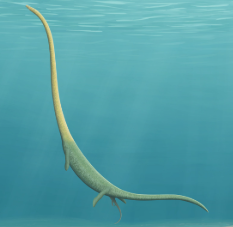 Zzzzz 1735790360dinocephalosaurus — criaturas de la prehistoria option 625