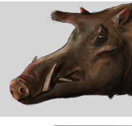 Zzzzz 1735790360kubanochoerus — criaturas de la prehistoria option 633